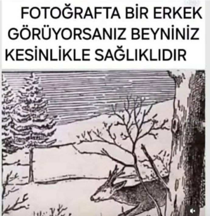 Bu fotoğrafta ilk bakışta ne görüyorsunuz, size göre neye benziyor?