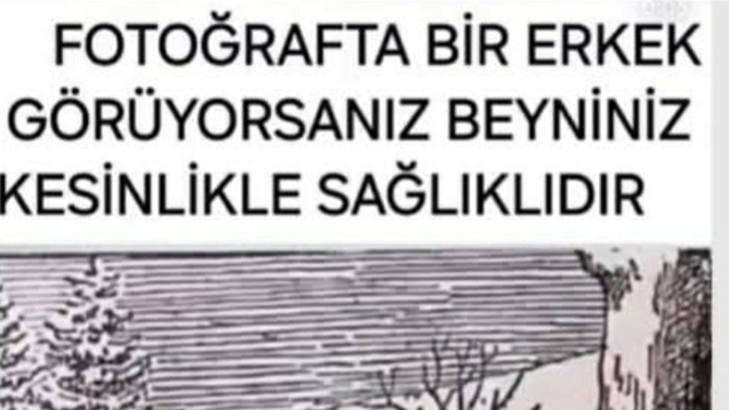 Bu fotoğrafta ilk bakışta ne görüyorsunuz, size göre neye benziyor?