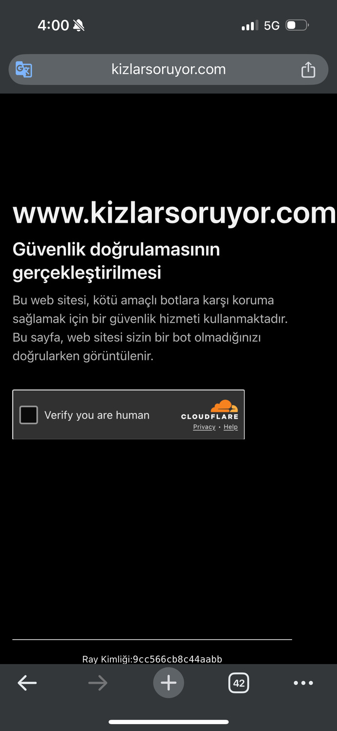 Sitedeki şu uyarı ekranı çok sinir bozucu değil mi?