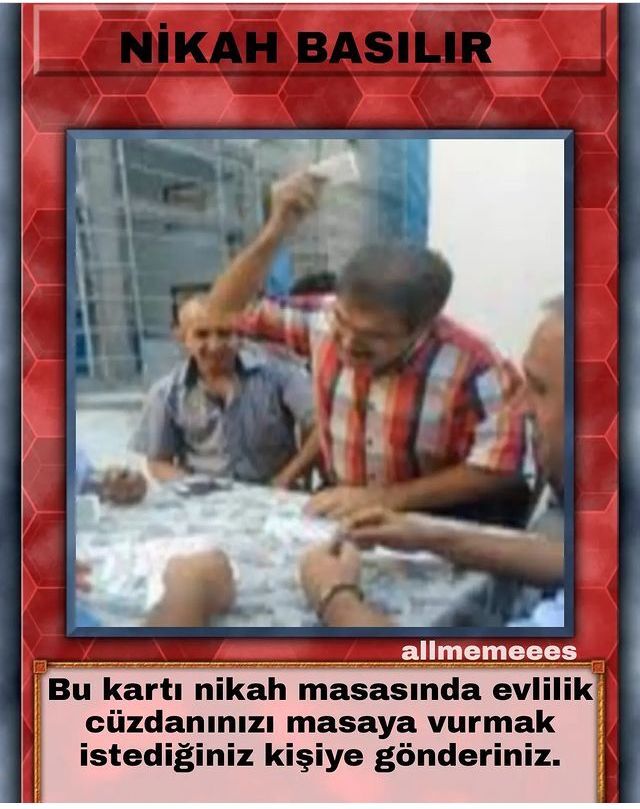 Neredesin aslanım