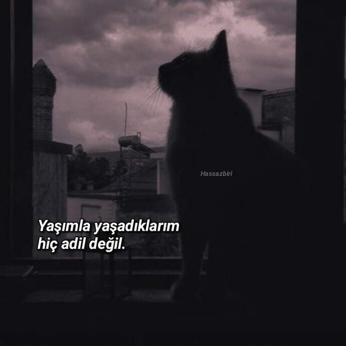 Yaşadıklarınız yaşınıza fazla mı?