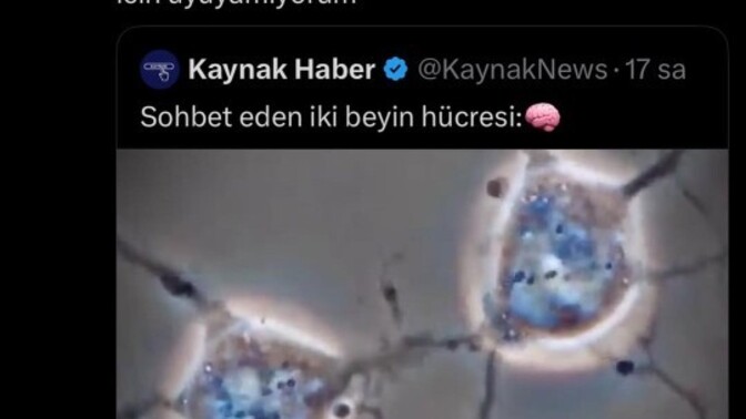 Kafanızın içindeki sesin sustuğu oluyor mu?