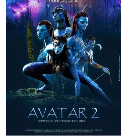 Film koleksiyonumu görmek ister miydin?