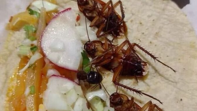 Tuhaf ama güzel yiyecek kombinasyonlarınız var mı, salatalık şeker karpuz tadı olayı gerçek mi?