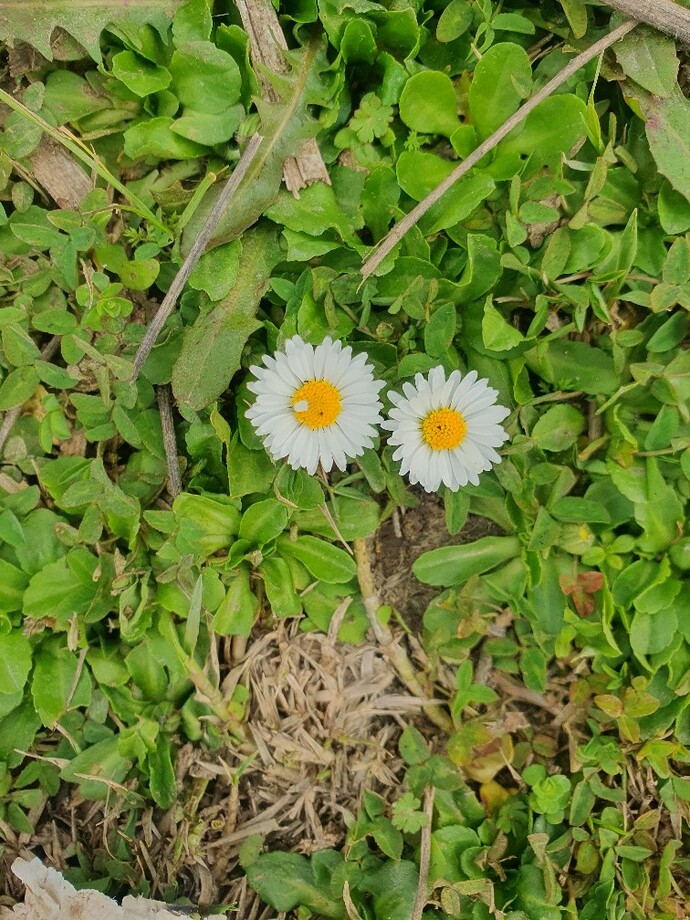 Ramazanın yedinci günü nasıl geçti?