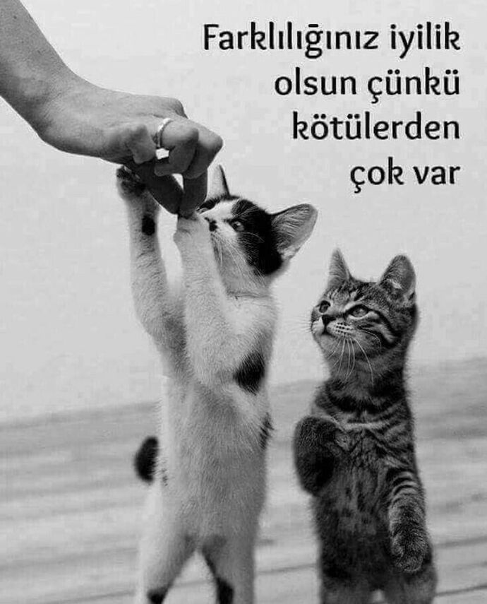 Yalnız kaldığımda ortaya çıkan gerçek ben ile insanların gördüğü ben neden bu kadar farklı?