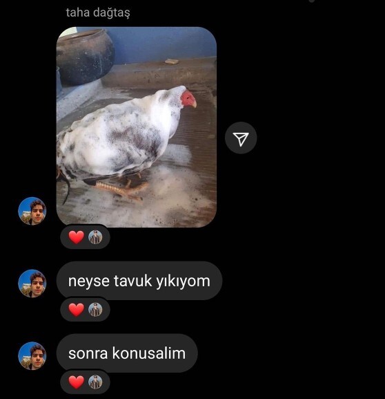 Daha önce yaptığınız en saçma aktivite neydi?