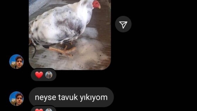 Daha önce yaptığınız en saçma aktivite neydi?