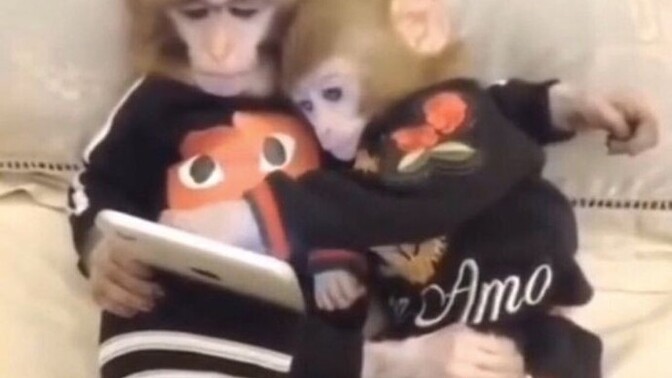"Benim ondan neyim eksik" diyen kadın mı ilişki katilidir, pinti erkek mi?