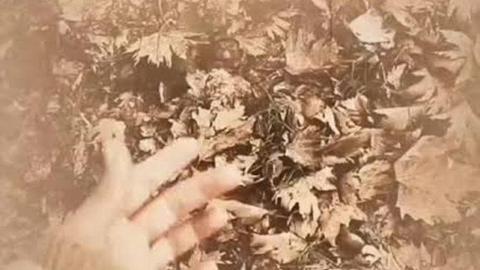 Haklı olup üzülmek mi, haksız olup gülmek mi?