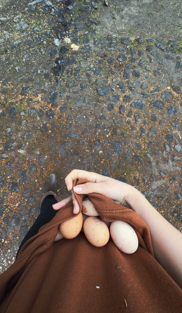 Marketlerde satılan bir yumurtanın gerçekten köy yumurtası olup olmadığını nasıl anlıyorsunuz?