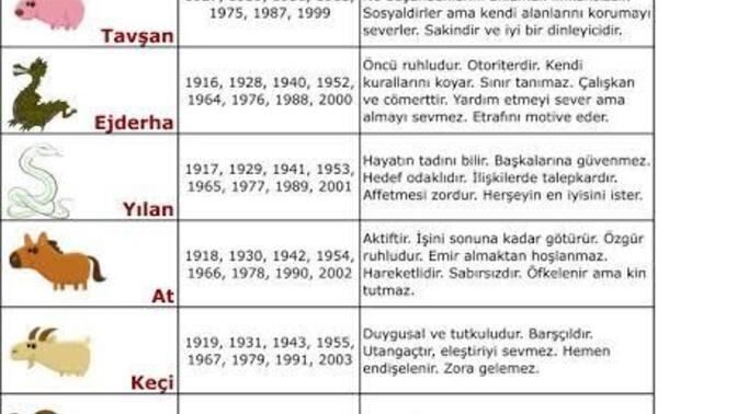 Çin burcunuz hangisidir görselden burcunuzu bulabilirsiniz sizce?