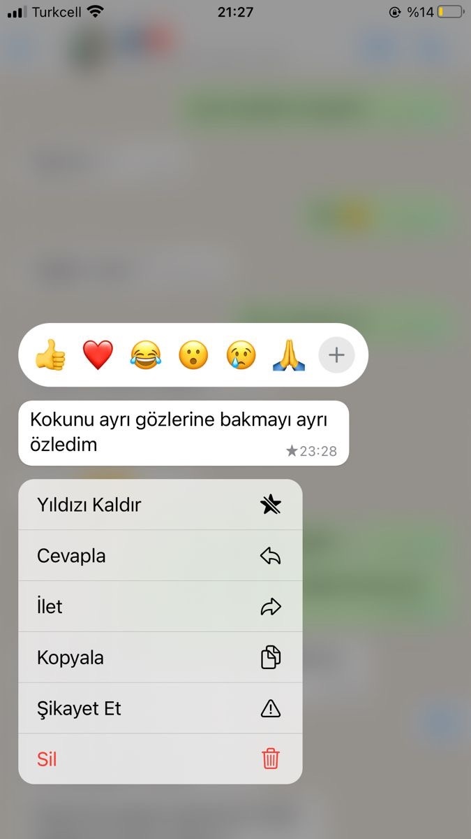 Sevgiliye her gün iltifat dolu mesajlar yazmak şart mı?
