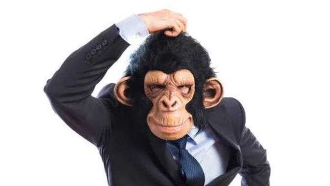 Erkek adam maymundan biraz yakışıklı olsa yeter sözü ne kadar doğru?