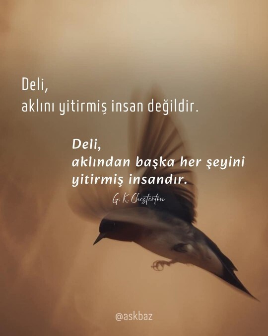Deli, aklını yitirmiş insan mıdır? yoksa her şeyini yitirmiş insan mıdır?