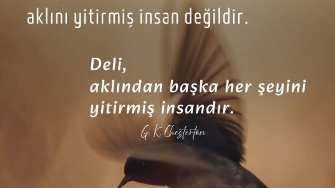 Deli, aklını yitirmiş insan mıdır? yoksa her şeyini yitirmiş insan mıdır?