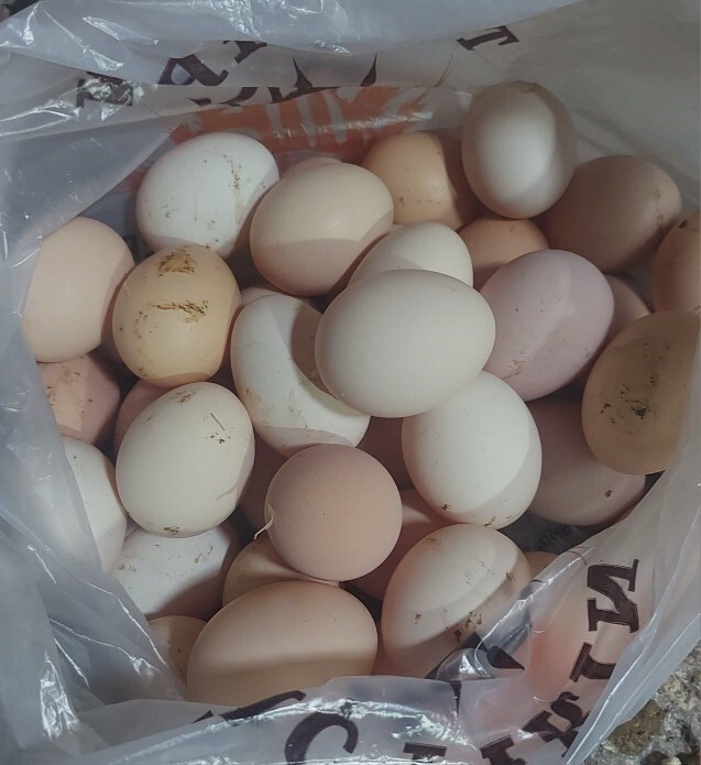 Neler yapıyorsunuz arkadaşlar Yemek yediniz mi Ben program hazırladım Yemek yedim Şimdi oturmuş Kola içiyorum?
