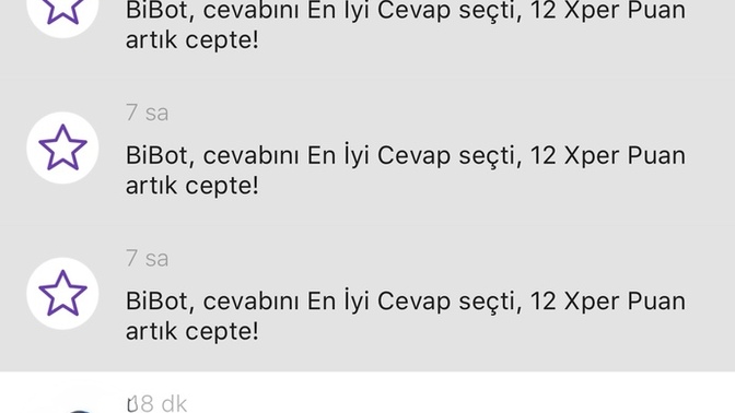 Bibot ne ya anlatır mısınız?