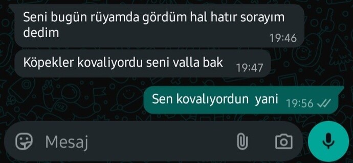 Eski sevgililer geri dönmek isteyince neden hep rüya görür?