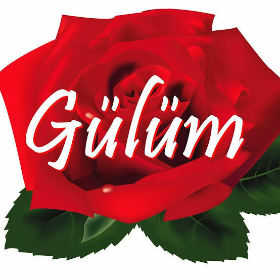 Sevdiğiniz /kullandığınız hitap şekli?