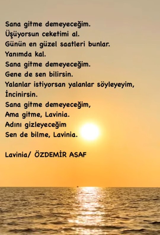 Geceye şöyle bir şiir bırakıyorum. Kendi sesimden?