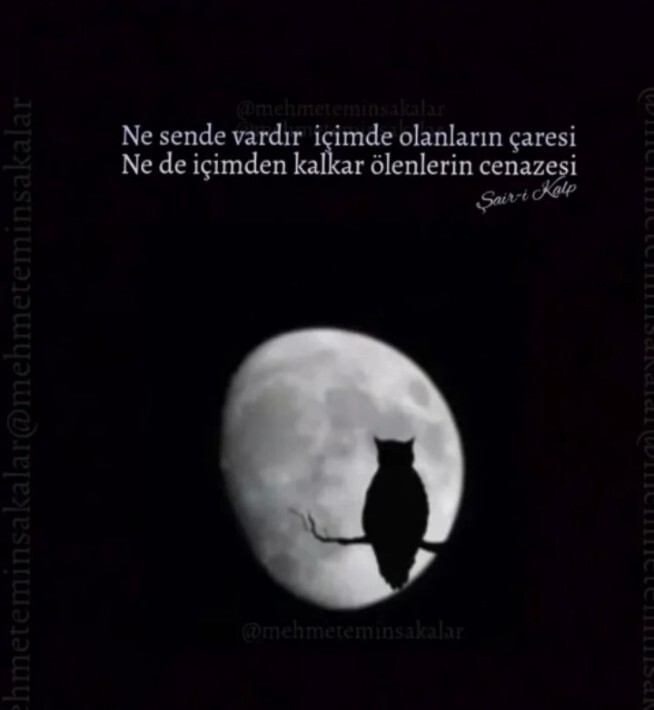 Instagramda hayranlıkla takip ettiğiniz biri var mı?