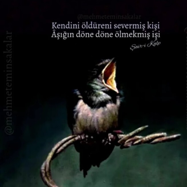 Instagramda hayranlıkla takip ettiğiniz biri var mı?