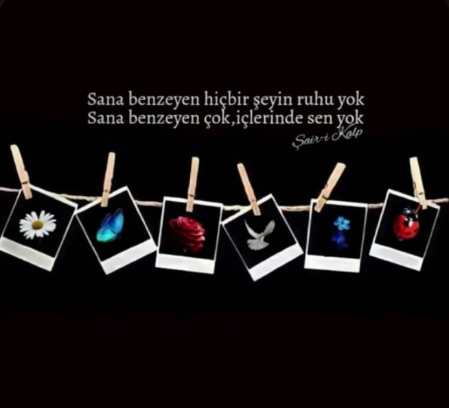 Instagramda hayranlıkla takip ettiğiniz biri var mı?