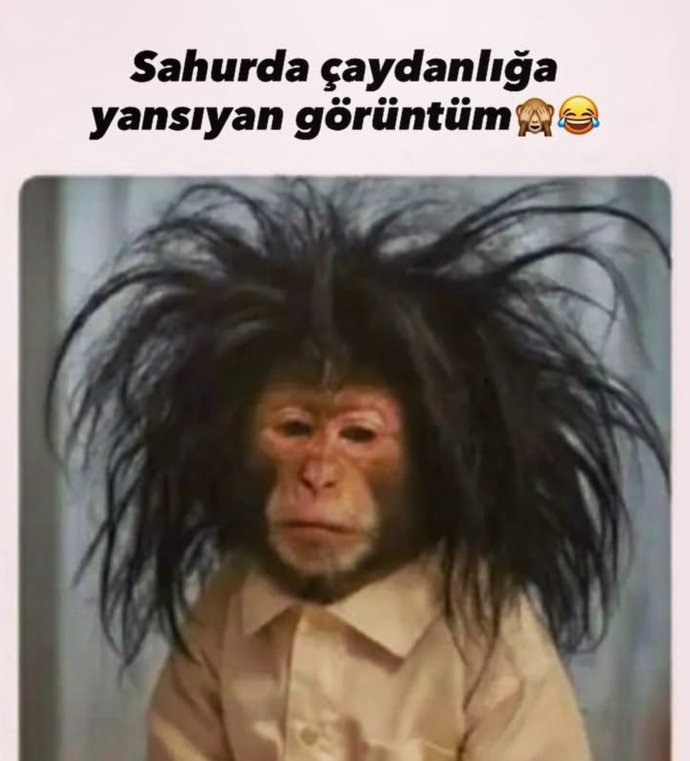 Sahuru bekleyen mi yoksa yatıp kalkanlardan mısınız?