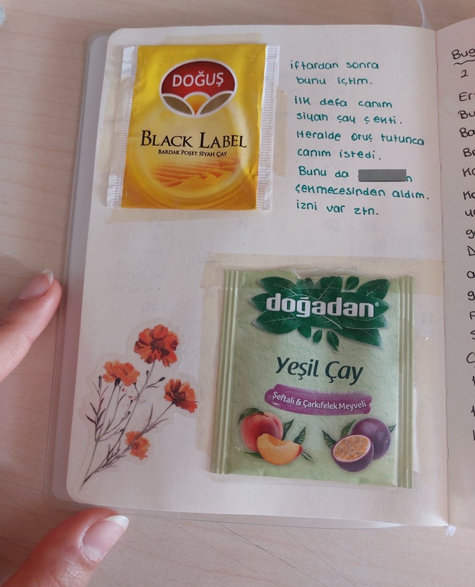 Yediğiniz şeyleri gün gün kayıt etmek ister miydiniz?