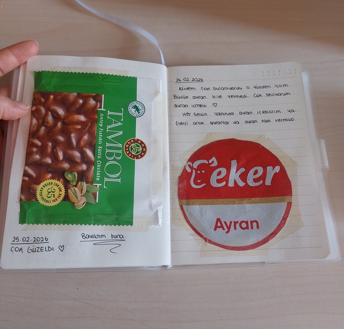 Yediğiniz şeyleri gün gün kayıt etmek ister miydiniz?