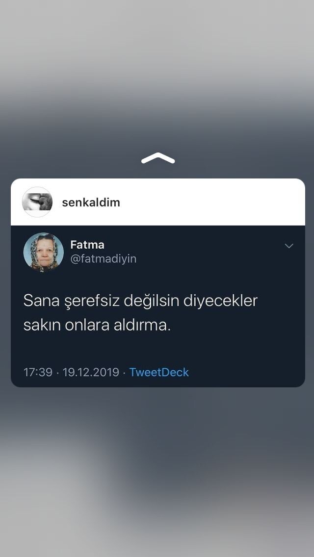 Gün içinde sık sık argo kelimeler kullanır mısınız?