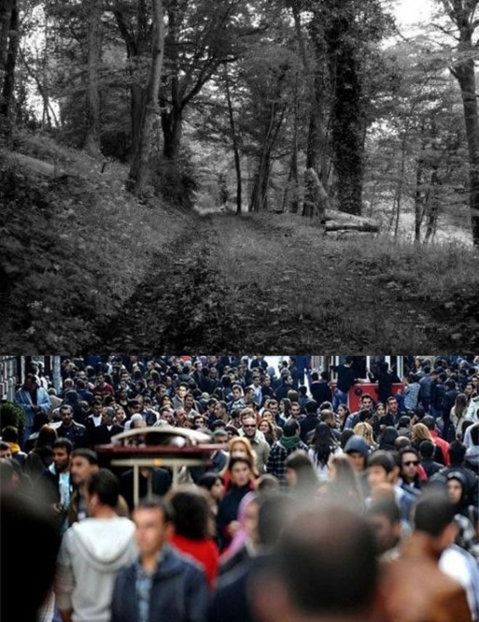 Kalabalık yerleri mi daha çok seviyorsunuz daha ıssız sesiz yerleri mi?
