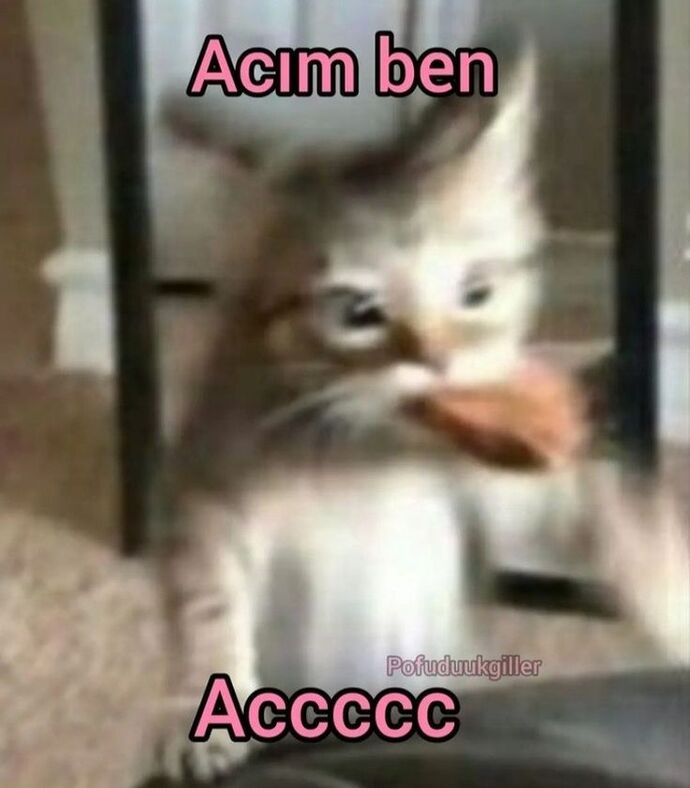 Millet accc acccc