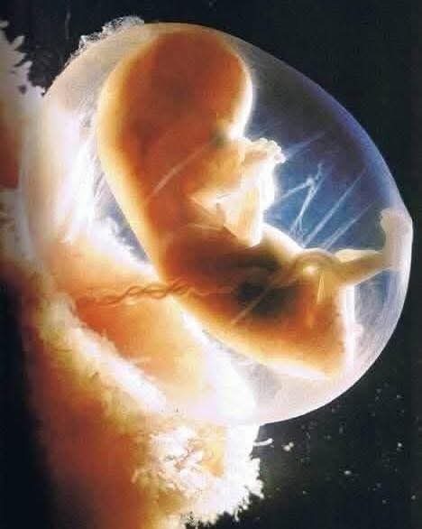 Hamilelik annenin vücuduna ve sağlığına gerçekten fayda sağlar mı, fetal mikrokimerizm ne işe yarar?