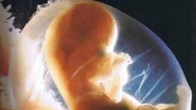 Hamilelik annenin vücuduna ve sağlığına gerçekten fayda sağlar mı, fetal mikrokimerizm ne işe yarar?