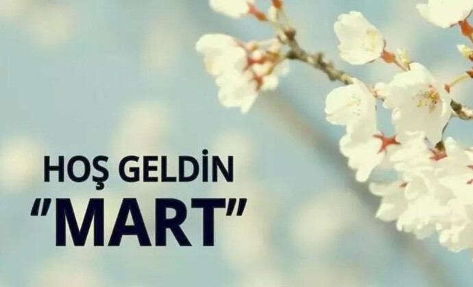 Bir mevsim olsaydınız hangisi olmak isterdiniz?