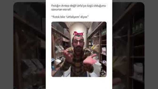 Antep fıstığı hangi ilimize aittir ?