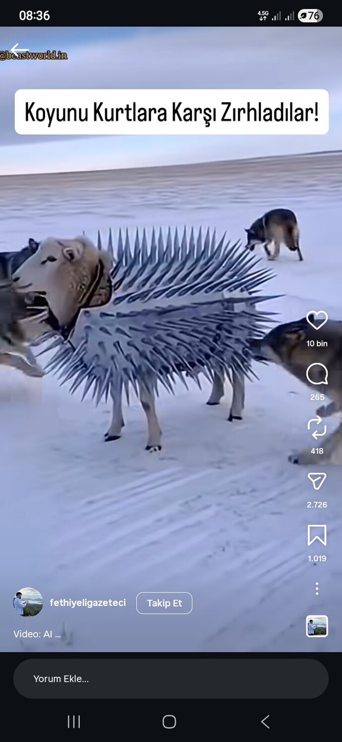 Zırhlandığınız kişiler var mı hayatınız da?