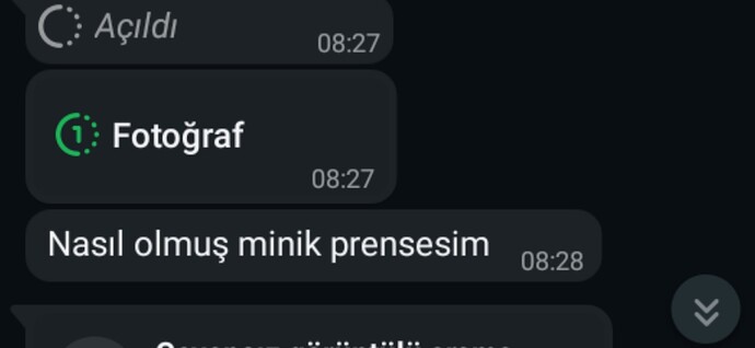 Fikirlerinde seni işin içine katan erkek /kadın hoş mu?