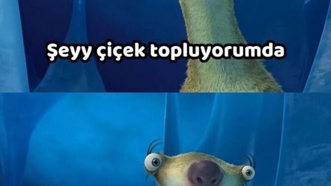 Sayfadaki en güzel/yakışıklı olanı seçelim mi?