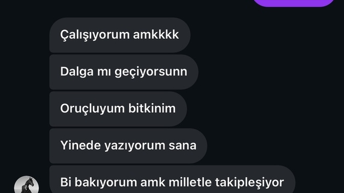 Bi anda dellendi hiç bulaşmamıştık?