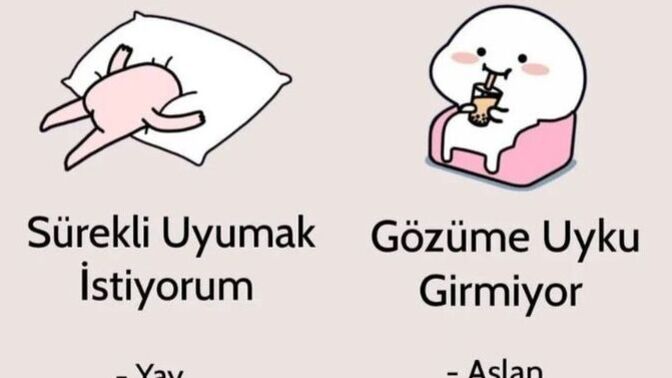 Burcuna göre siz hangisi oluyorsunuz?