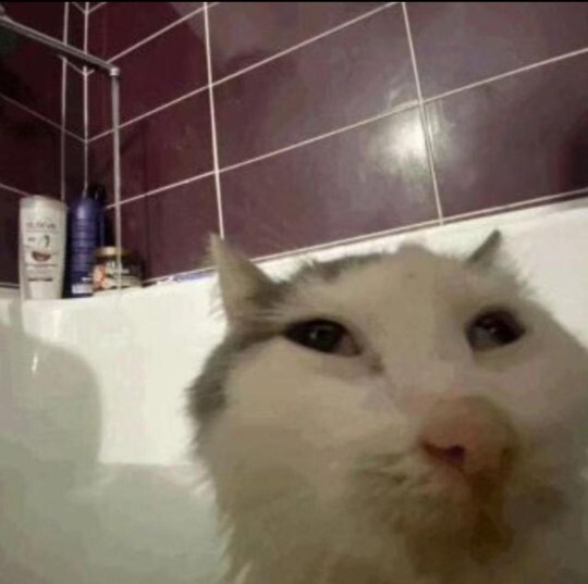 Selfie çekmeyen birisi öz güvensiz midir?