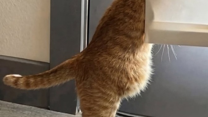 Erkekler mi daha fazla stalk yapar kadınlar mı?
