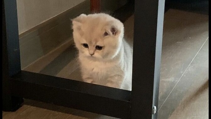 Z kuşağı gerçekten çok mu alıngan, yoksa dünya mı çok kaba?