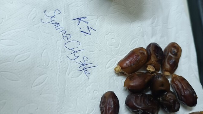 Gününüz nasıl geçti¿ Ne yaptınız¿ Neler hissettiniz -1?