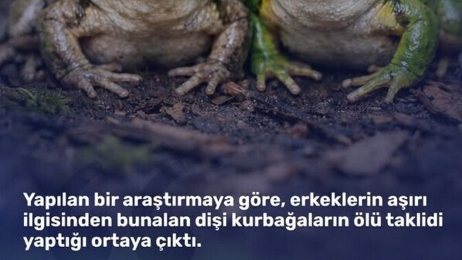 Birinin fazla ilgisinden bunaldığınız oldu mu 🥴🤦🏻‍♀️?