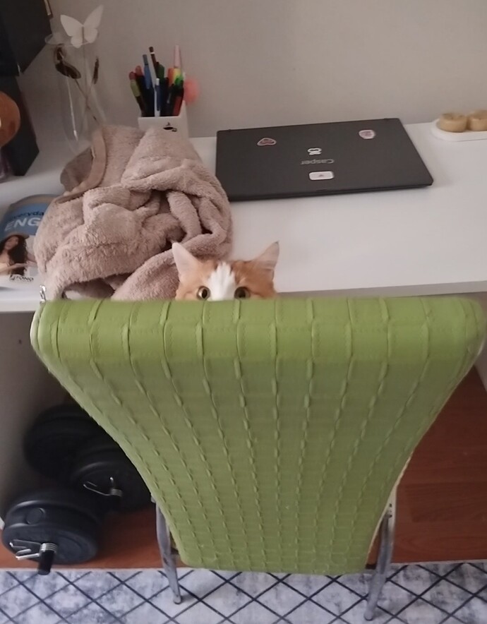 Sizi böyle izleyen var mı yok mu söylememi ister misiniz?