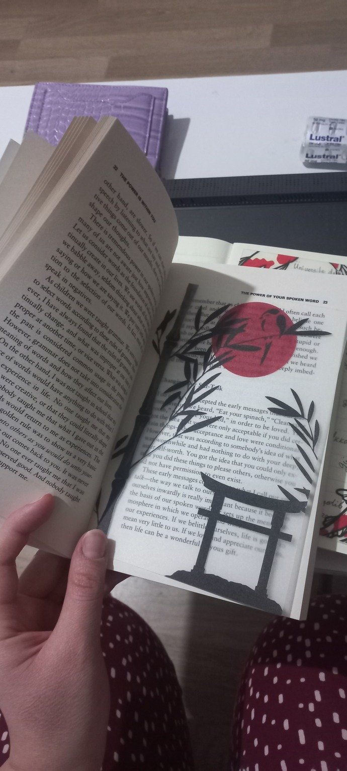 Yeni kitap ayracima bakinnn? nasil olmus yiaa✨️💖🍇? ay ne iyi edip almisim?